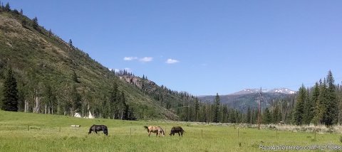 Ranch meadow