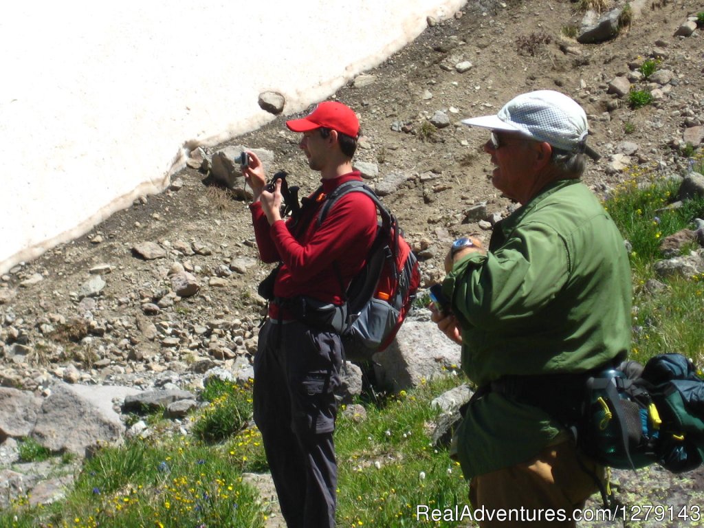 Bring a camera | Colorado Trail Hiking | Image #7/9 | 