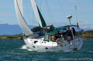 Blackfish Sailing Adventures | Victoria, British Columbia Sailing | Port Alberni, British Columbia Adventure Travel