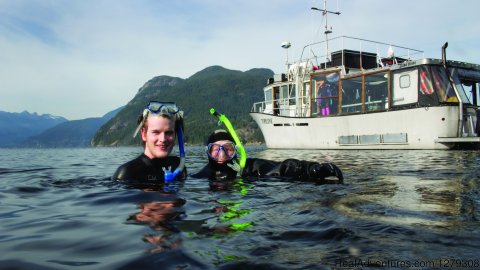 Sea Dragon is delighted to offer exciting snorkeling, kayaking, and scuba diving excursions, just minutes from Vancouver, BC!

Adventurers will travel by boat and discover the amazing Sea to Sky region. Snorkelers can also snorkel with seals!