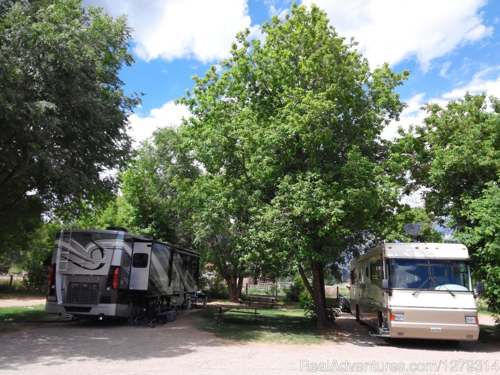 Lots of trees | Westerly RV Park - Best Little RV Park in Durango | Image #3/6 | 