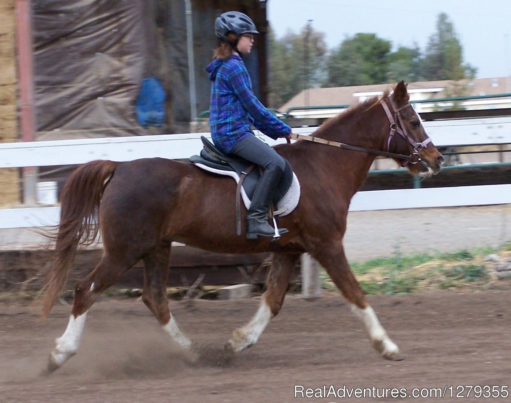 Pine Trails Ranch | Davis, California  | Horseback Riding & Dude Ranches | Image #1/2 | 