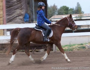 Pine Trails Ranch | Davis, California Horseback Riding & Dude Ranches | Coloma, California