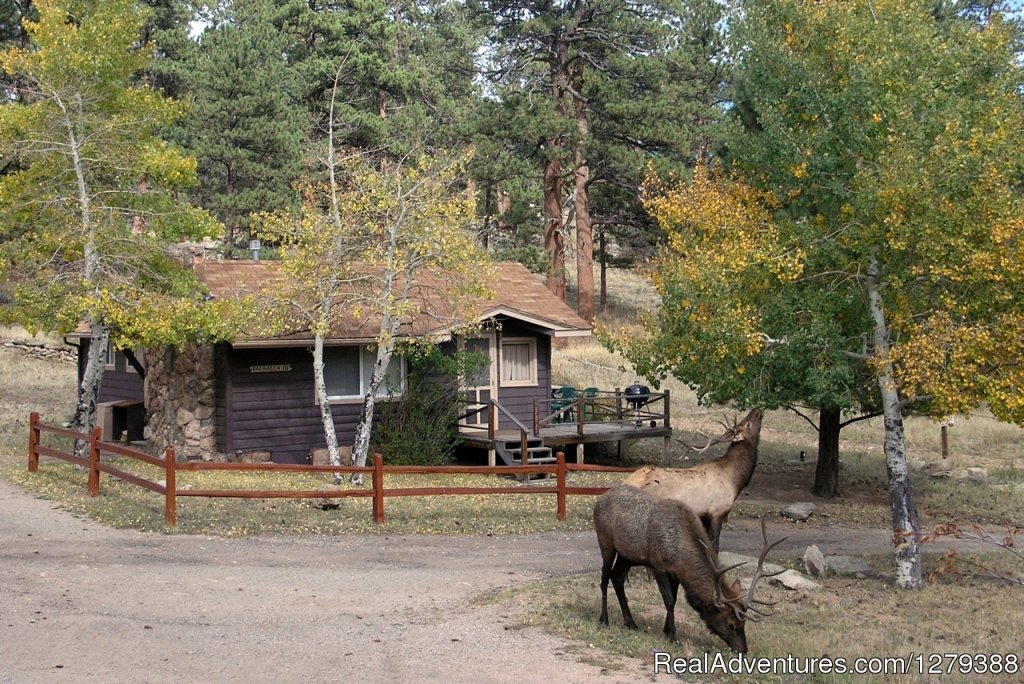 Cabin 10 | Valhalla Resort | Image #8/23 | 