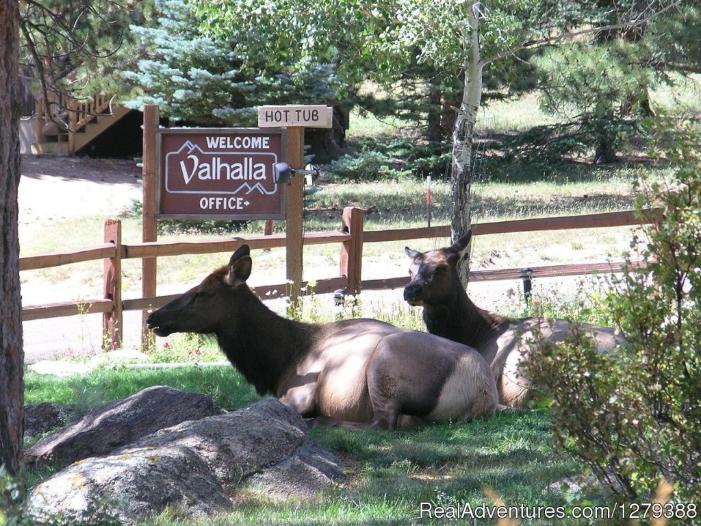 Valhalla Resort | Image #13/23 | 