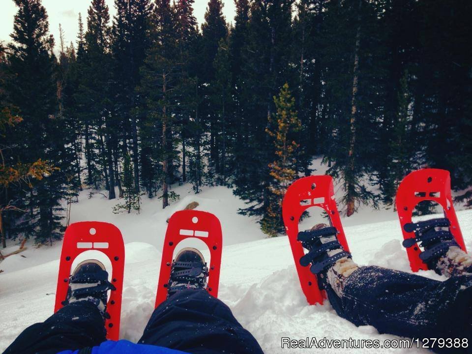 Snow shoe packages available | Valhalla Resort | Image #15/23 | 