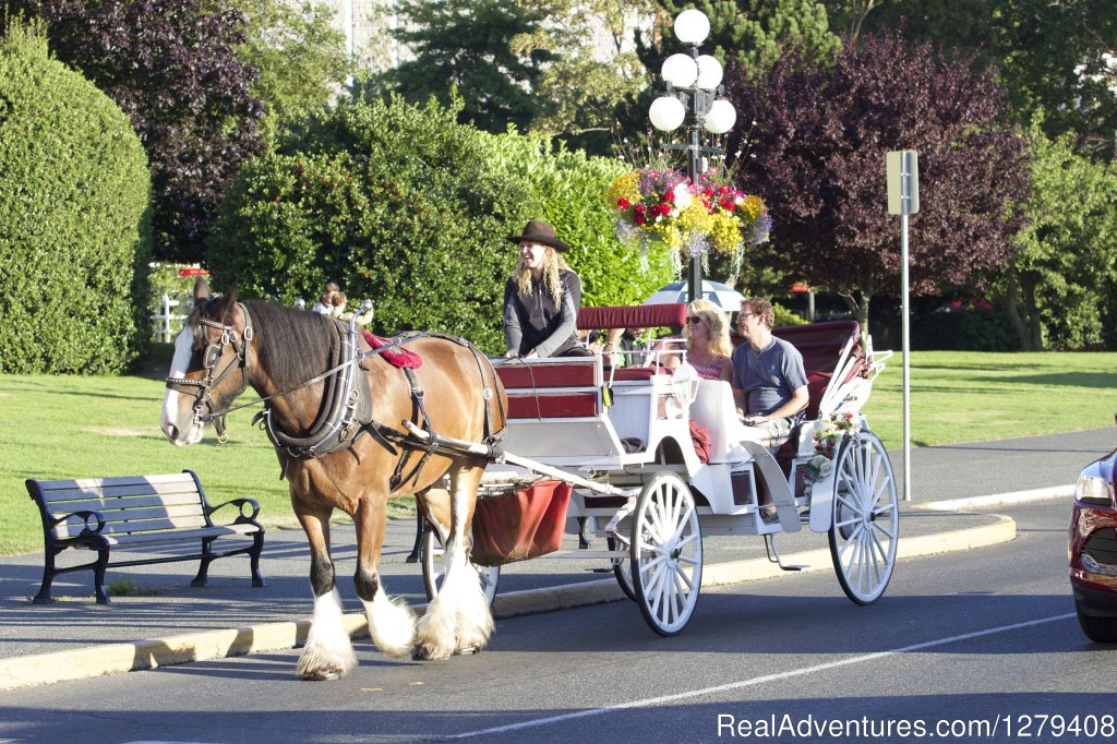 Private Horse-Drawn Carriage Tour | Image #5/13 | 