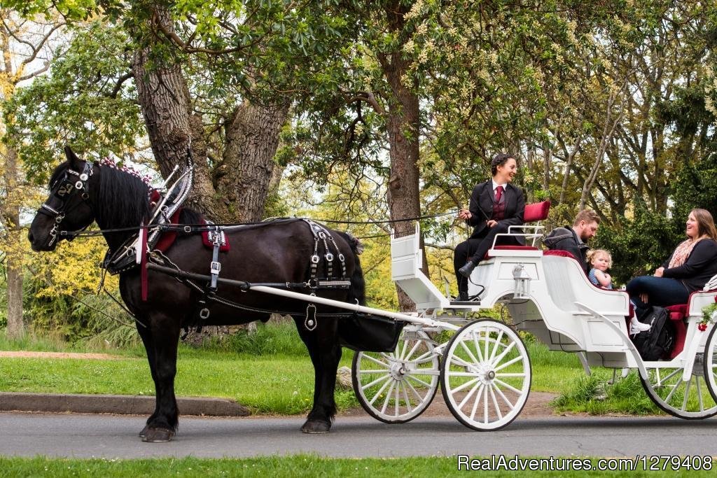 Private Horse-Drawn Carriage Tour | Image #3/13 | 