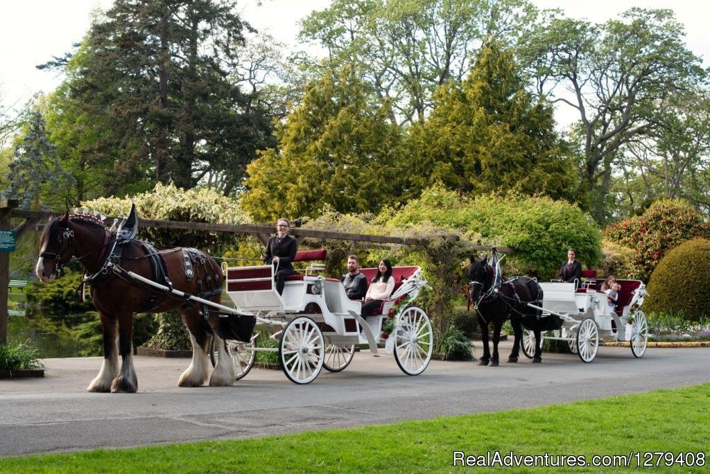 Private Horse-Drawn Carriage Tour | Image #8/13 | 
