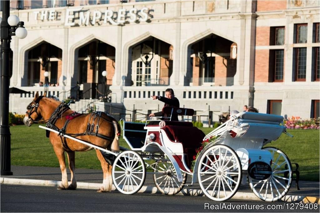 Private Horse-Drawn Carriage Tour | Image #11/13 | 