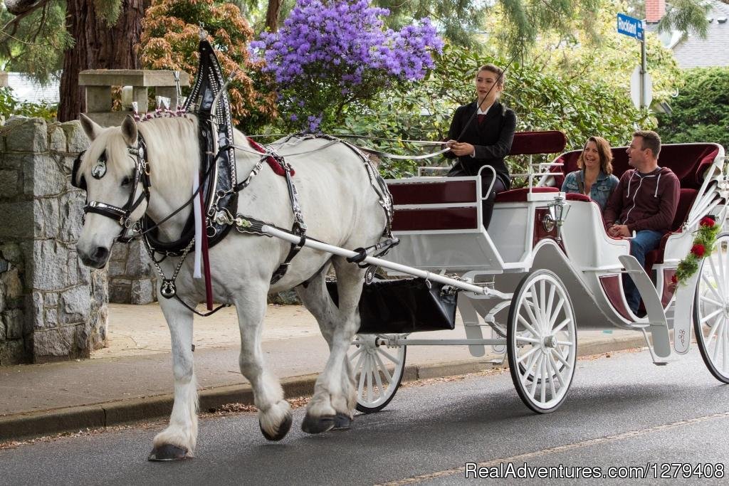 Private Horse-Drawn Carriage Tour | Image #7/13 | 