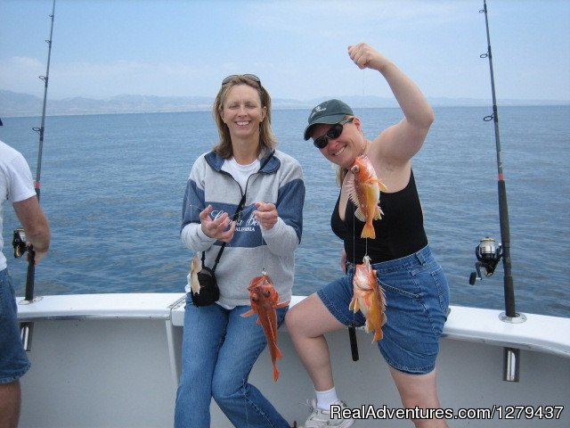 Yellowtail | Pacific Venture Charter Service | Image #3/6 | 