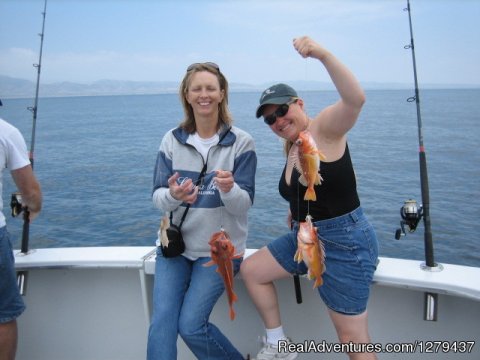 Yellowtail