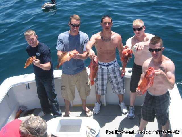 Yellowtail | Pacific Venture Charter Service | Image #4/6 | 