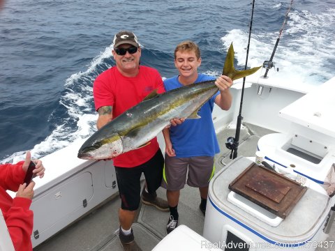 Yellowtail