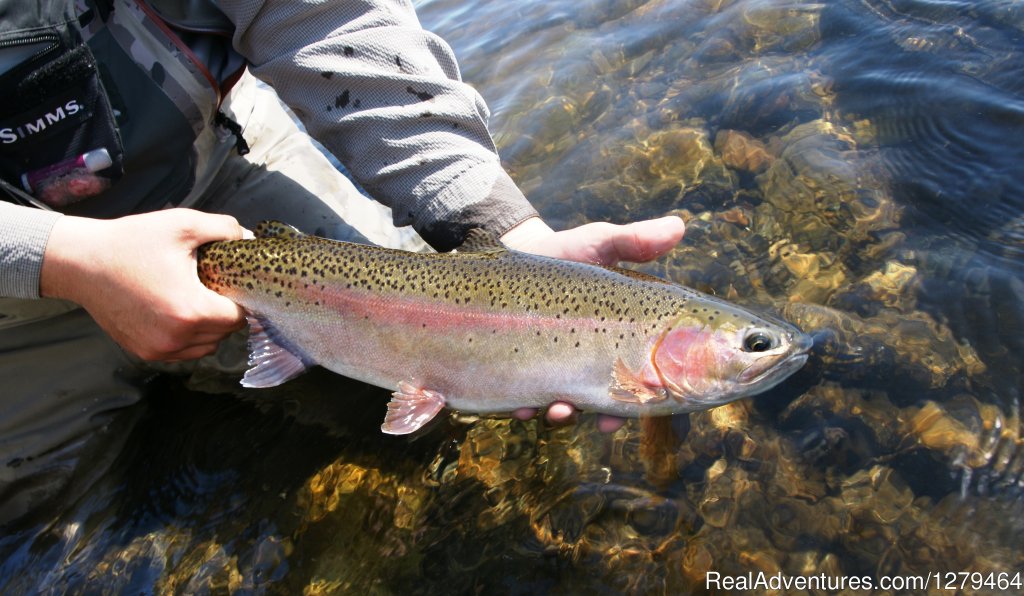 Off the Hook Fly Fishing | Image #6/9 | 