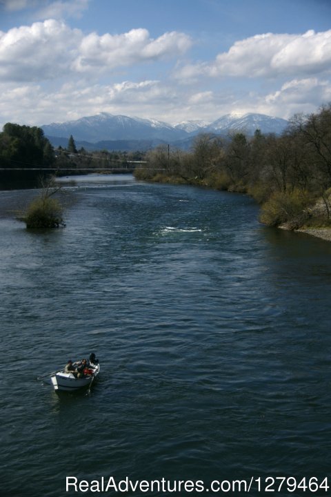 Lower Sacramento Fly Fishing Guides