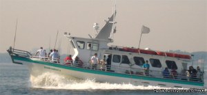 Island Current | Bronx, New York Fishing Trips | Somers Point, New Jersey