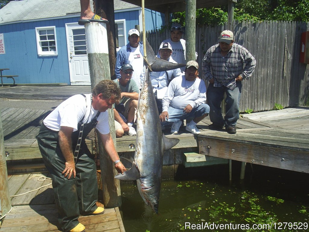 Rays Group With A Nice 160 Lb. Mako | D.C. Outdoor Adventures | Image #25/26 | 