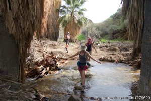 Trail Discovery Hiking Tours | Palm Springs, California Hiking & Trekking | Brawley, California