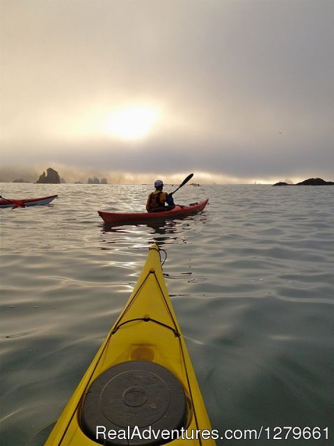 We'll launch off the beach in flat water and explore the harbor, traditional fishing ground of the Yurok tribe, and important commercial fishing port today, as we watch for migrating whales, ever present seals, sea lions, and otters.