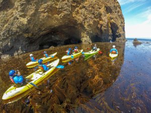 Santa Barbara Adventure Company | Santa Barbara, California Kayaking & Canoeing | California Adventure Travel