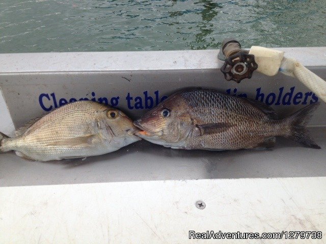 Tuna Wahoo Fishing Charters | Image #5/14 | 