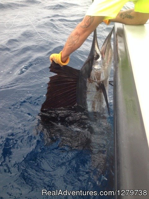 Tuna Wahoo Fishing Charters | Image #12/14 | 
