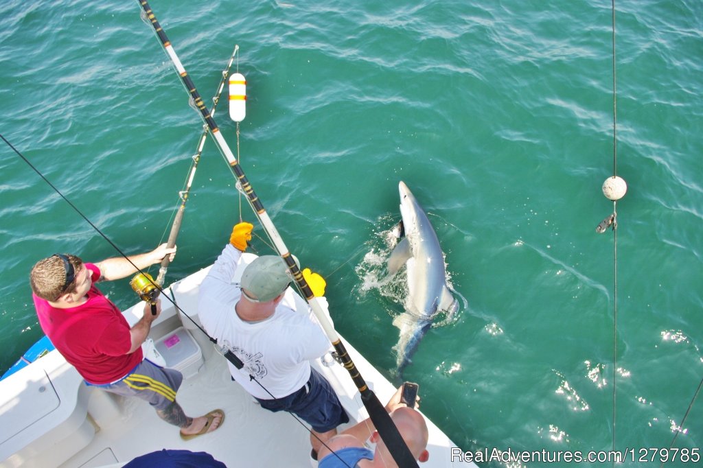 Reelizer | Margate City, New Jersey  | Fishing Trips | Image #1/4 | 