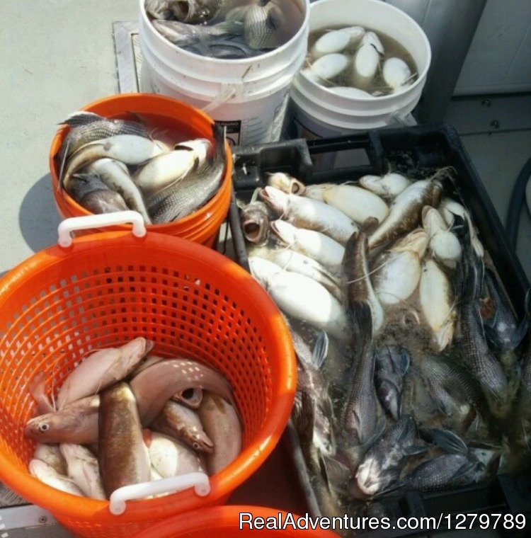 Jumbo Seabass, Codfish, Ling  & winter Flounder trips. | Down Deep Sport Fishing Fleet | Image #7/20 | 