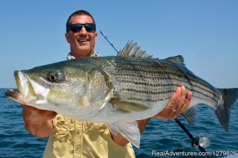 Large Striped Bass Caught on Reel Deal Fishing Charter