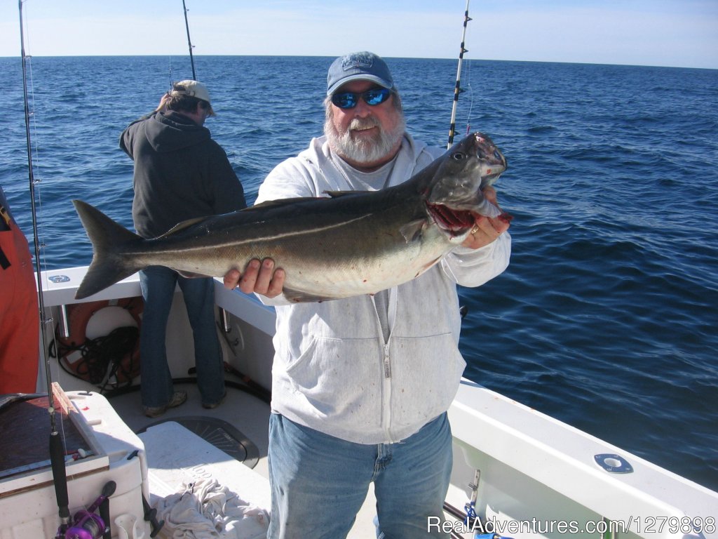 Catch Giant Bluefin Tuna, Sweet Dream Sportfishing | Image #4/7 | 