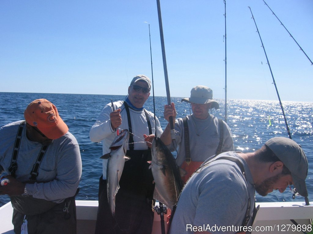 Double Pollockl | Catch Giant Bluefin Tuna, Sweet Dream Sportfishing | Image #6/7 | 