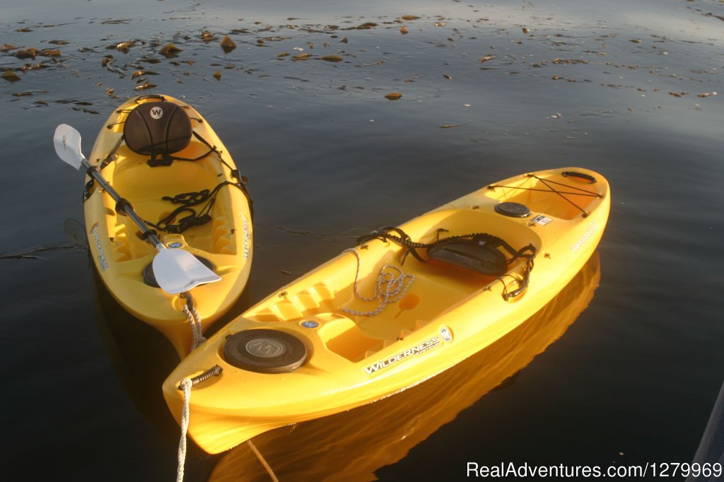 Kayak Still Life | Sail Channel Islands | Image #6/22 | 