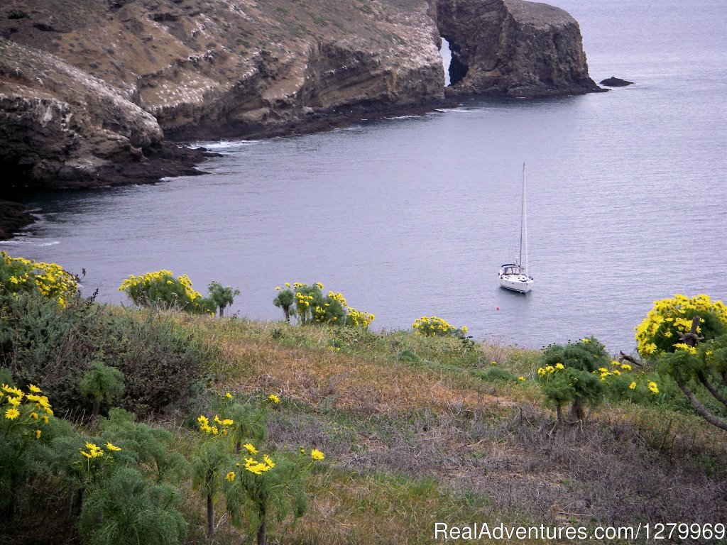 Sancerre at Santa Barbara Island | Sail Channel Islands | Image #7/22 | 