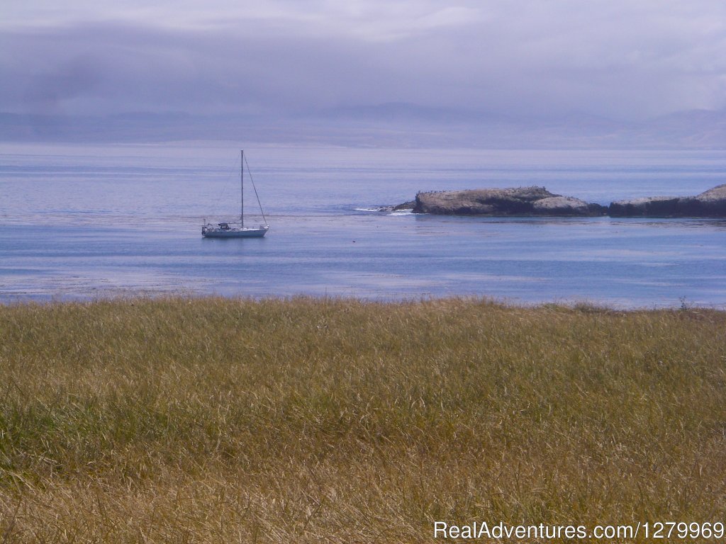 Anchored at Forneys Cove | Sail Channel Islands | Image #13/22 | 