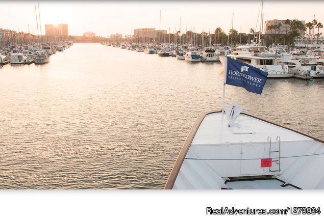 View from the Pilot House | Hornblower Cruises & Events | Newport Beach, California  | Yacht Charters | Image #1/9 | 