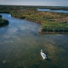 Crystal River, Fl Fishing Charters | Crystal River, Florida