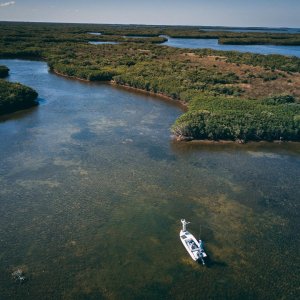 Crystal River, Fl Fishing Charters | Crystal River, Florida | Fishing Trips