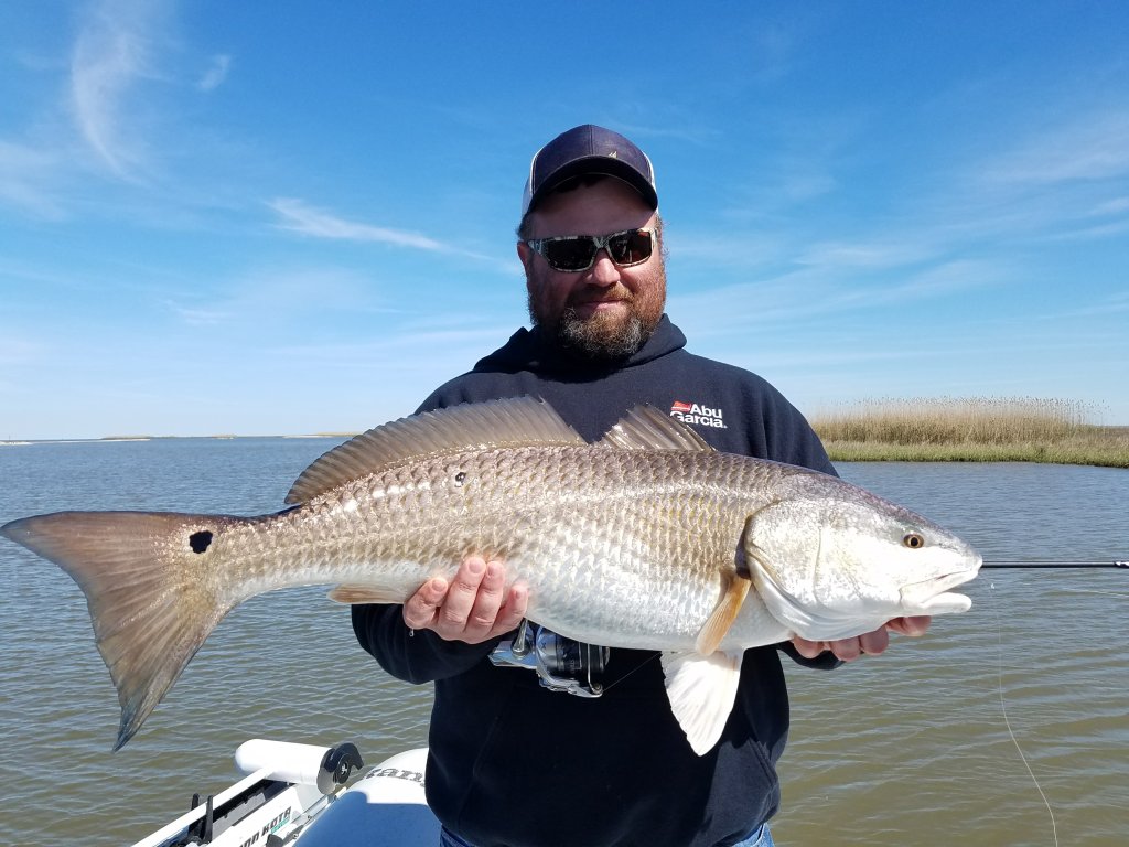 Marsh Redfish | South Louisiana Red Fishing Charters | Image #11/21 | 