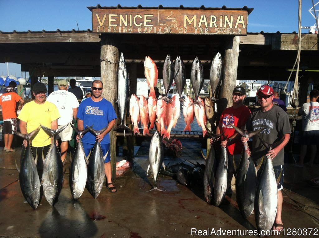 Great day offshore of Venice La. | We are more than just a 'little crazy' about Tuna | Venice, Louisiana  | Fishing Trips | Image #1/4 | 