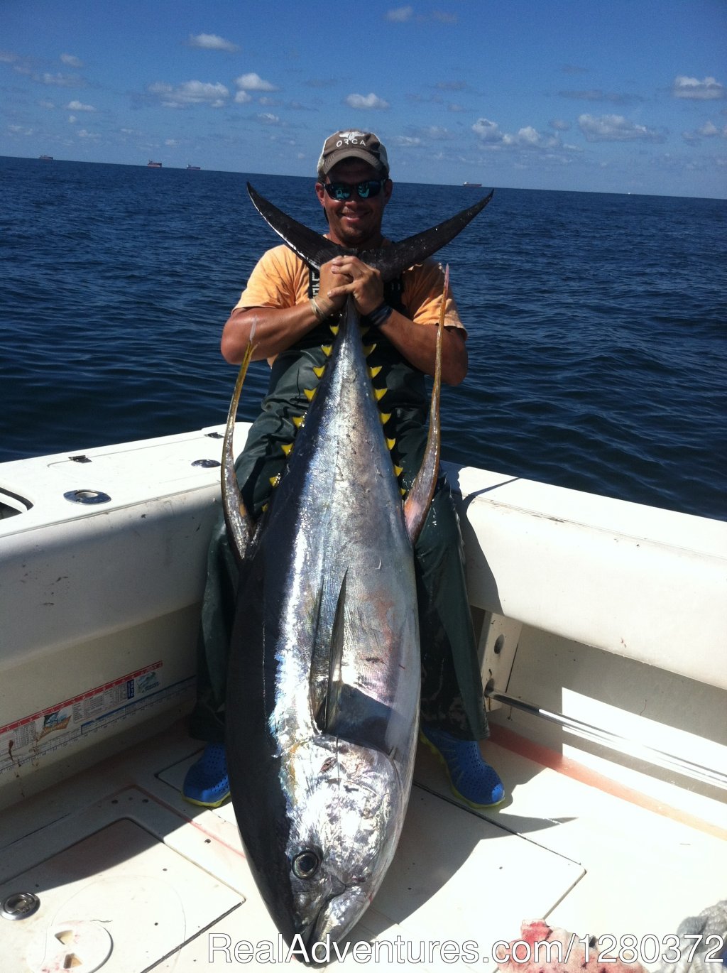 Nice Yellowfin Tuna | We are more than just a 'little crazy' about Tuna | Image #2/4 | 