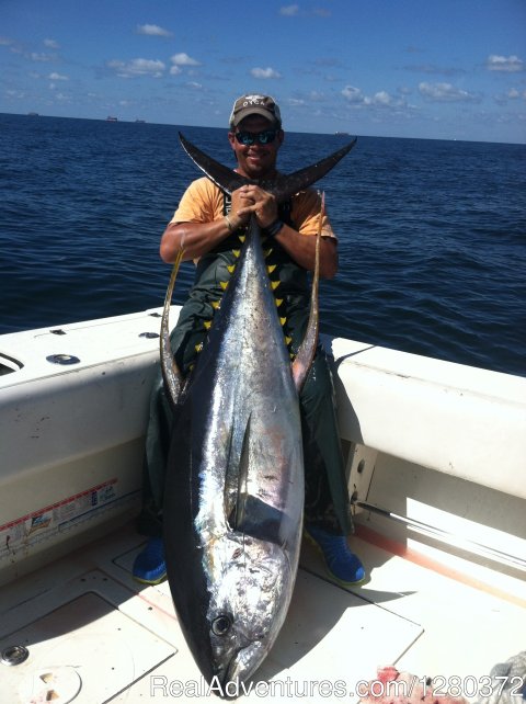 Nice Yellowfin Tuna