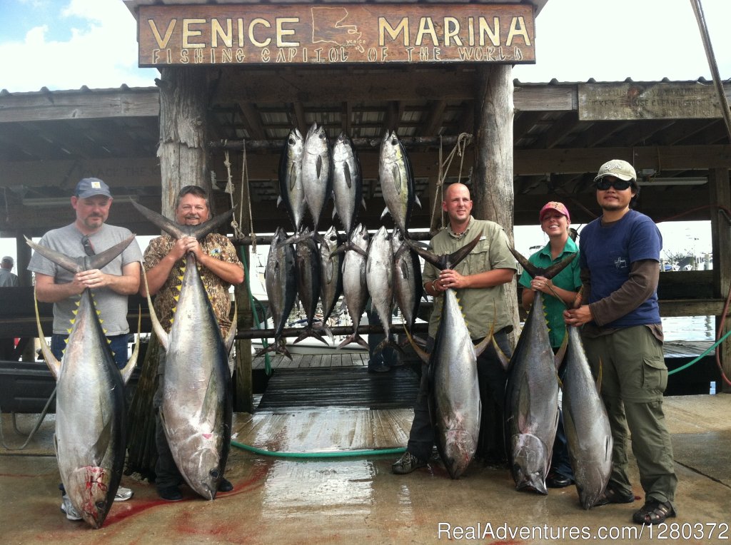 A good days work out of Venice La | We are more than just a 'little crazy' about Tuna | Image #4/4 | 