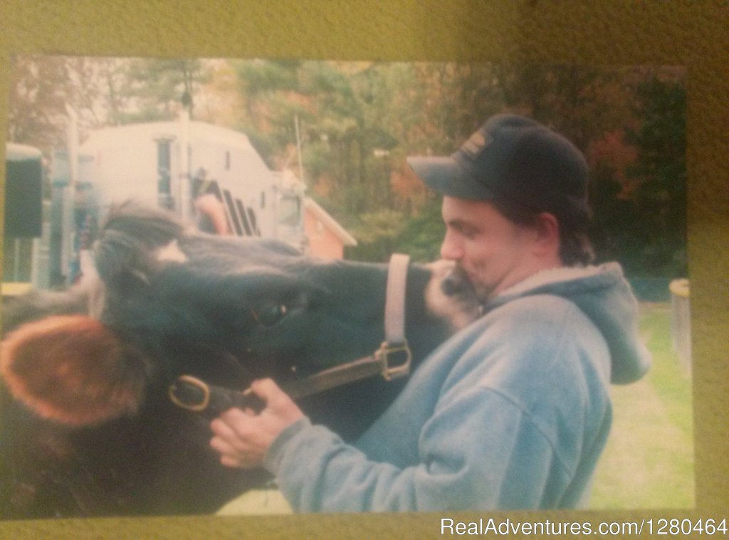 Our cow Duncan | Valley View Riding Stables | Image #3/4 | 