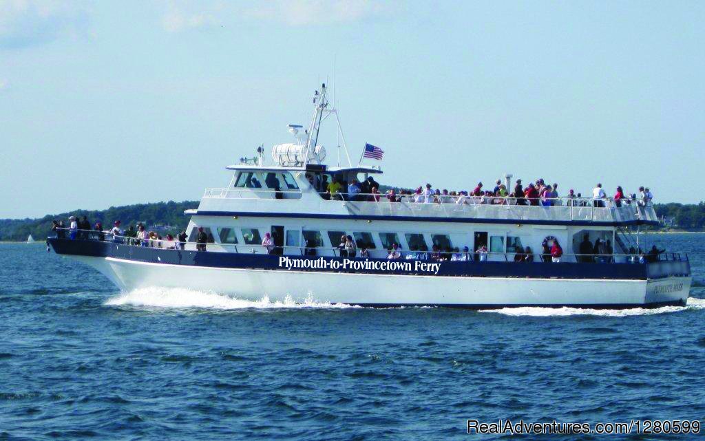 Plymouth To Provincetown Ferry | Plymouth to Provincetown Express Ferry | Plymouth, Massachusetts  | Cruises | Image #1/1 | 