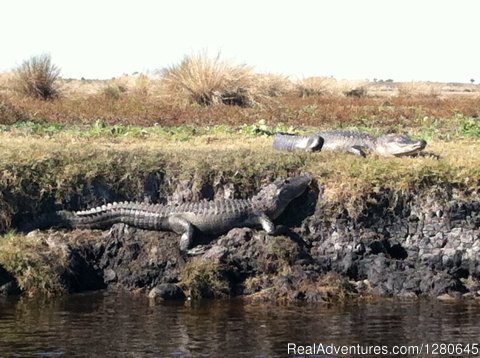 Image #12/15 | Midway Airboat Rides on St. Johns River
