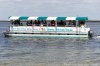 Miss Daisy Boat Tours | Cotee, Florida