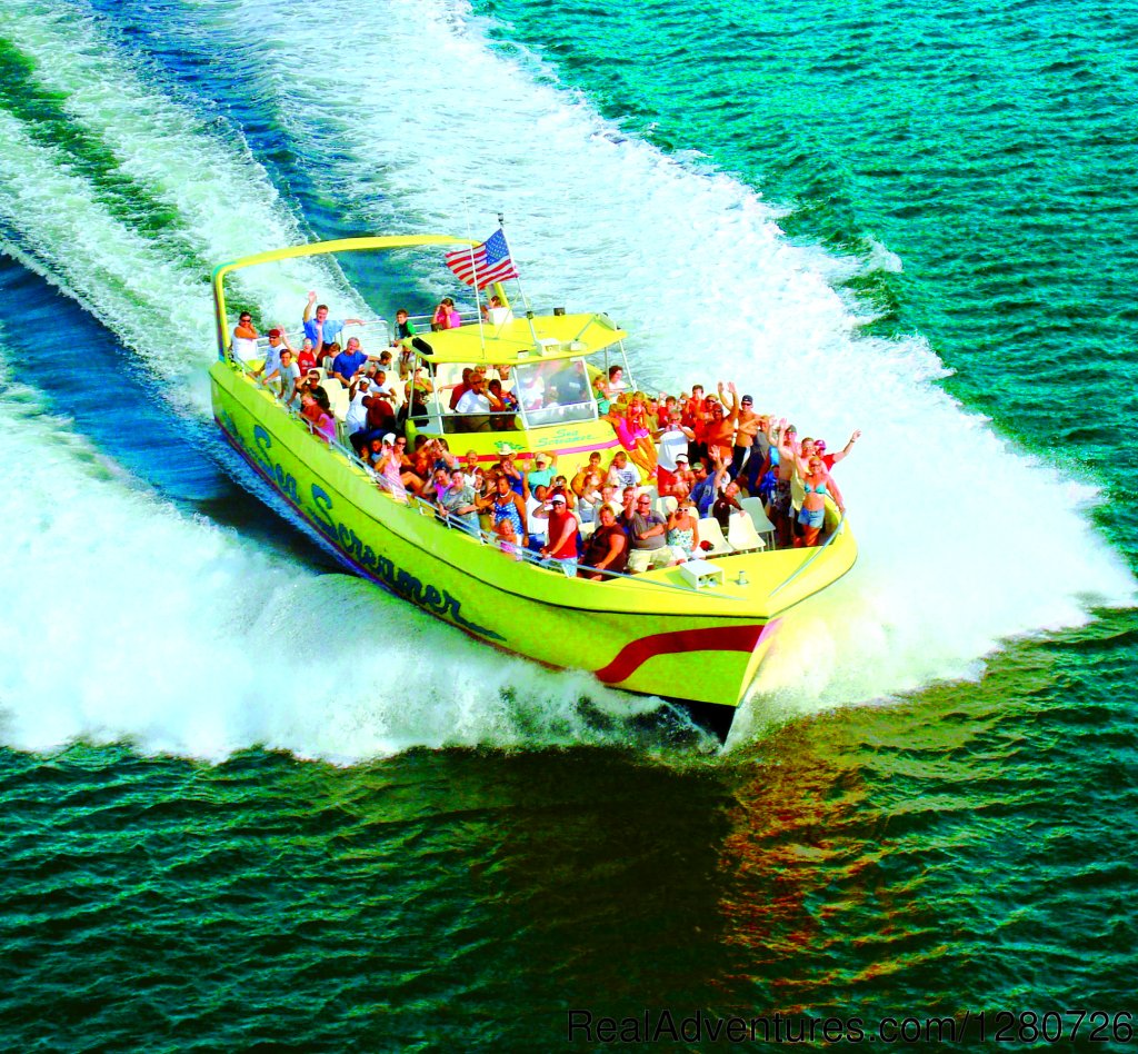 Sea Screamer Dolphin Cruise | Sea Screamer | Panama City, Florida  | Cruises | Image #1/6 | 