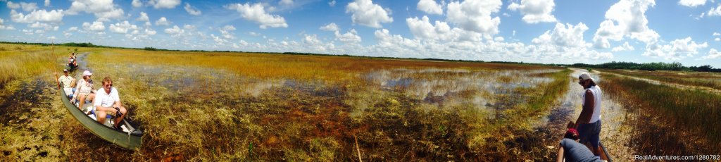 Everglades tour | Everglades Adventure Tours | Ochopee, Florida  | Eco Tours | Image #1/1 | 